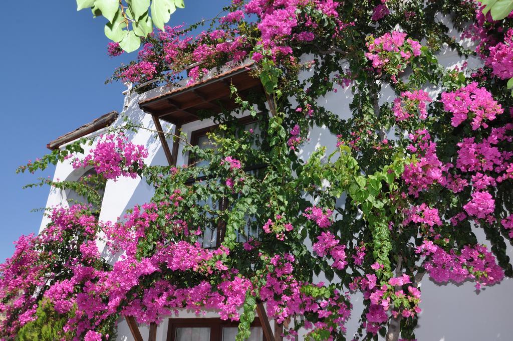 Kalamar Hotel Kalkan Esterno foto